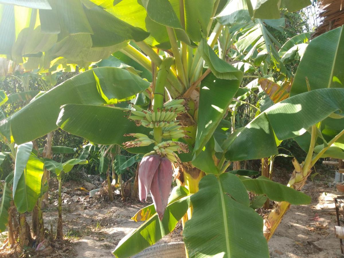 Meechok Organic Home Ao Nang Exterior foto